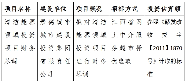 清潔能源領(lǐng)域投資項目財務盡調(diào)計劃公告