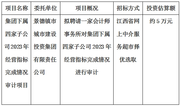 集團下屬四家子公司2023年經(jīng)營指標完成情況審計項目計劃公告