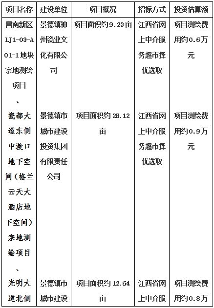 景德鎮(zhèn)市昌南新區(qū)LJ1-03-A01-1地塊、瓷都大道東側(cè)中渡口地下空間（格蘭云天大酒店地下空間）、光明大道北側(cè)利民路西側(cè)地下空間（青少年宮地下空間）、規(guī)劃二路北側(cè)地下空間地塊二（加速基地地下空間）、規(guī)劃二路北側(cè)地下空間地塊一（加速基地地下空間）、景德大道南側(cè)天寶橋西側(cè)地塊、景興大道東側(cè)如意路北側(cè)地下空間(社會公共服務(wù)