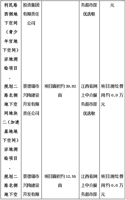 景德鎮(zhèn)市昌南新區(qū)LJ1-03-A01-1地塊、瓷都大道東側(cè)中渡口地下空間（格蘭云天大酒店地下空間）、光明大道北側(cè)利民路西側(cè)地下空間（青少年宮地下空間）、規(guī)劃二路北側(cè)地下空間地塊二（加速基地地下空間）、規(guī)劃二路北側(cè)地下空間地塊一（加速基地地下空間）、景德大道南側(cè)天寶橋西側(cè)地塊、景興大道東側(cè)如意路北側(cè)地下空間(社會公共服務(wù)