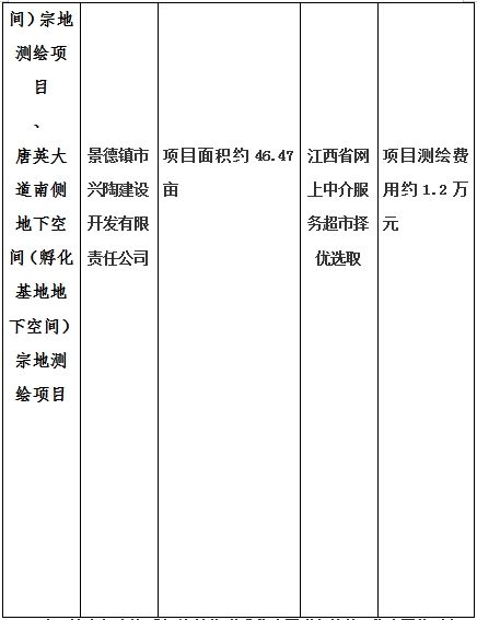 景德鎮(zhèn)市昌南新區(qū)LJ1-03-A01-1地塊、瓷都大道東側(cè)中渡口地下空間（格蘭云天大酒店地下空間）、光明大道北側(cè)利民路西側(cè)地下空間（青少年宮地下空間）、規(guī)劃二路北側(cè)地下空間地塊二（加速基地地下空間）、規(guī)劃二路北側(cè)地下空間地塊一（加速基地地下空間）、景德大道南側(cè)天寶橋西側(cè)地塊、景興大道東側(cè)如意路北側(cè)地下空間(社會公共服務(wù)
